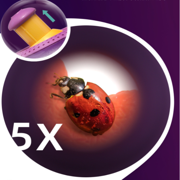 Insect observation biological barrel