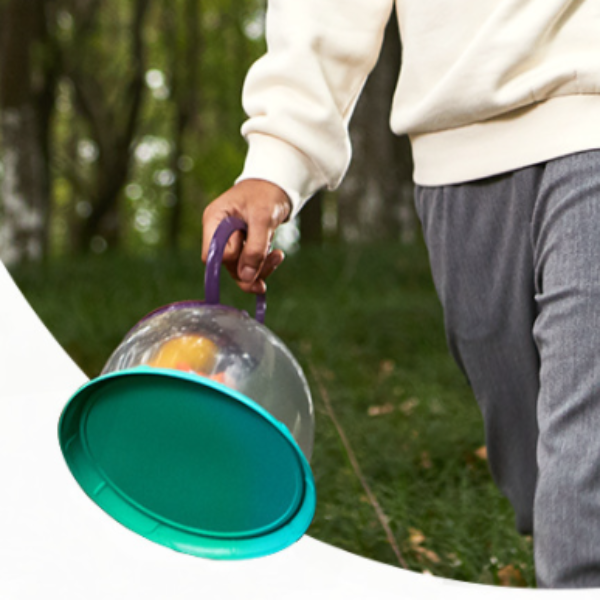 Insect observation biological barrel