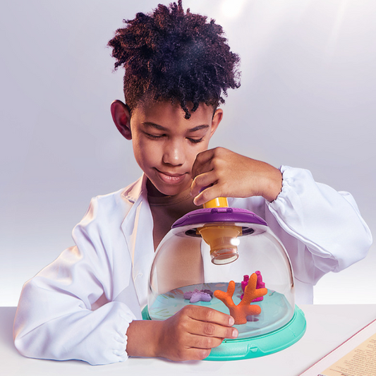 Insect observation biological barrel